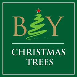 Bay Christmas Trees