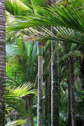 Karamea Information & Resource Centre