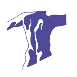 Physiotherapy Associates