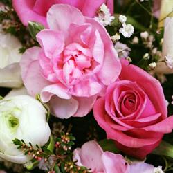 Miss Feaver Florist