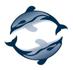 Steele Roberts & Associates Ltd