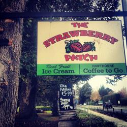 The Strawberry Patch