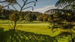 Mangawhai Golf Club