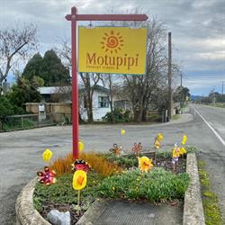 Motupipi School