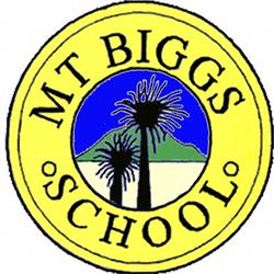 Mount Biggs School