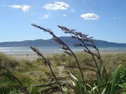 Paraparaumu Beach School