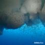 Deep sea
