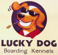Lucky Dog Boarding Kennels
