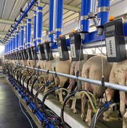 Pratt Milking Machines