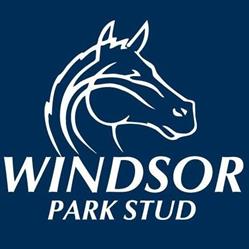 Windsor Park Stud