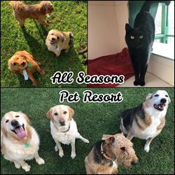 All Seasons Pet Resort