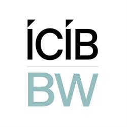 ICIB BROKERWEB Limited