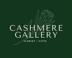 Cashmere Gallery