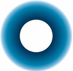 The Chiropractice Ltd