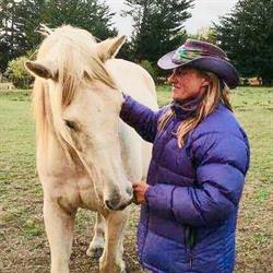 Dunedin Riding Centre
