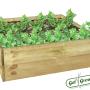 Garden Beds