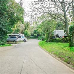 Remuera Motor Lodge & Inner City Camping Ground