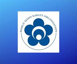 Seido Karate Club