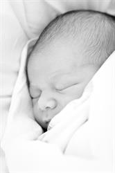 Abbe Coppins - The Green Bay Midwives