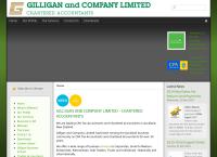 Gilligan & Co Chartered Accountants
