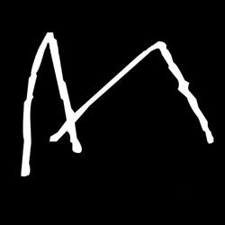 Morph Hair
