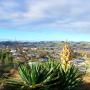 The view