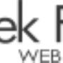 Wordpress Web Designers