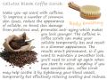 Thai Herbs Body Scrub 60 minutes