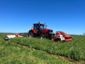 Mowing