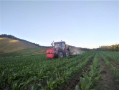 Side Dressing