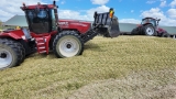 Stacking Maize