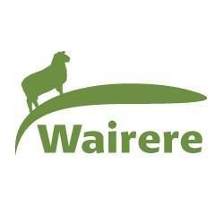 Wairere Rams - Romneys, Composites and Terminals, Bideford, Masterton Farming