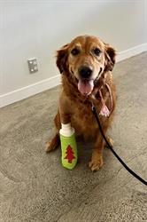 St Lukes Veterinary Clinic