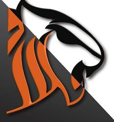 Tiger Tint Nz Ltd