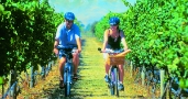Cycling amongs vines