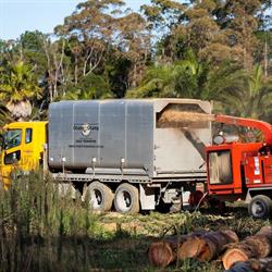 Orang Otang Tree Trimmers 2008 Ltd