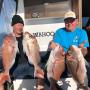Awesome Snapper fishing