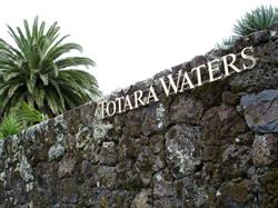 Totara Waters Sub Tropical Garden