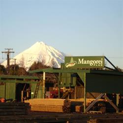 Mangorei Plus (Sawmills)