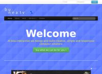 Bluu Interactive