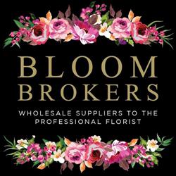 Bloom Brokers Ltd