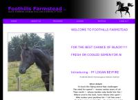 Foothills Farmstead Limited