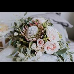 Floral Harvest Limited