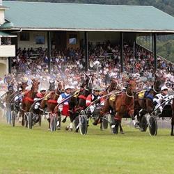 Reefton Trotting Club