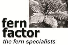 Fern Factor