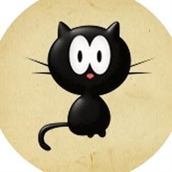 Club Meow Boarding Cattery
