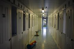 Elite Cat Boarding Motels