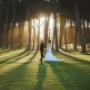 Wedding Photographer