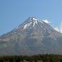 NZ Van Lines New Plymouth Movers