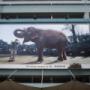 Signage Systems